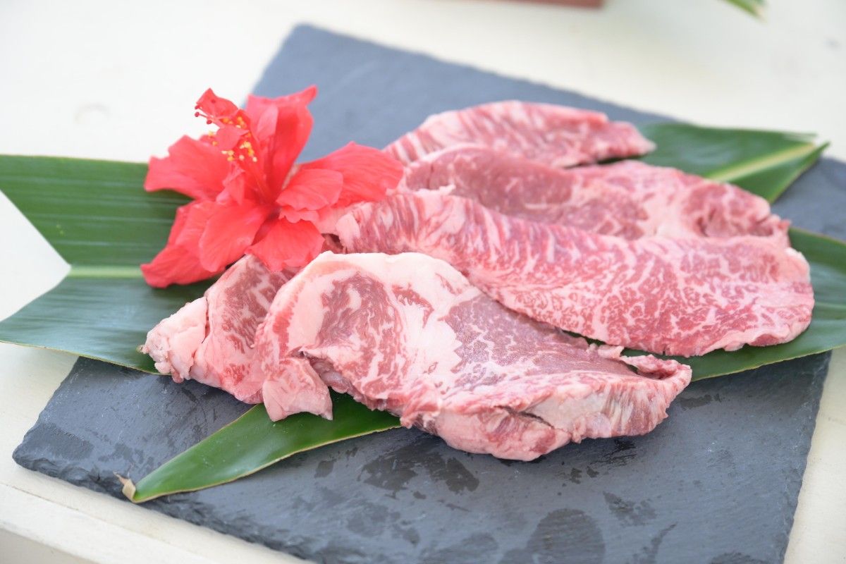 日帰り/プレミアムガーデンBBQ ¥10,000/お一人様 - 4