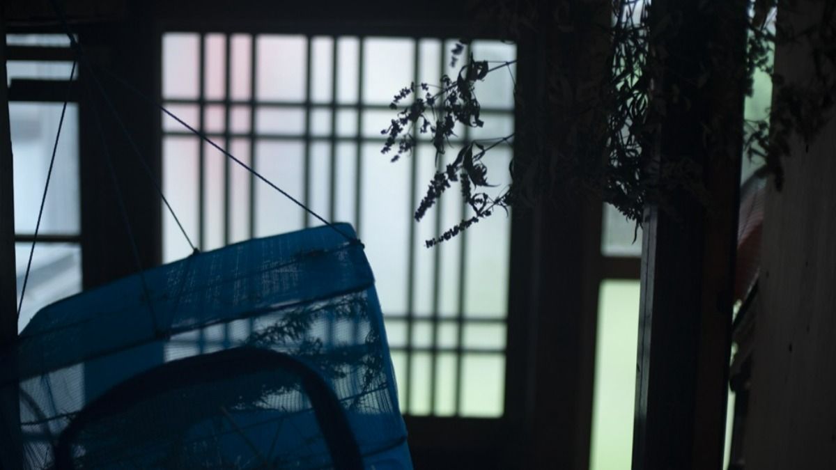   心ほどける、まちの縁側 mujaqui（むじゃき） - 13