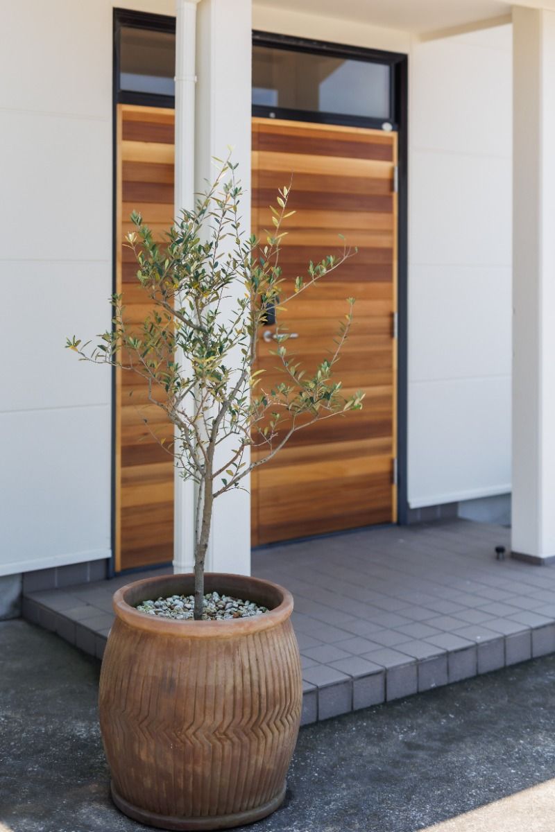 shimagumi house - 19