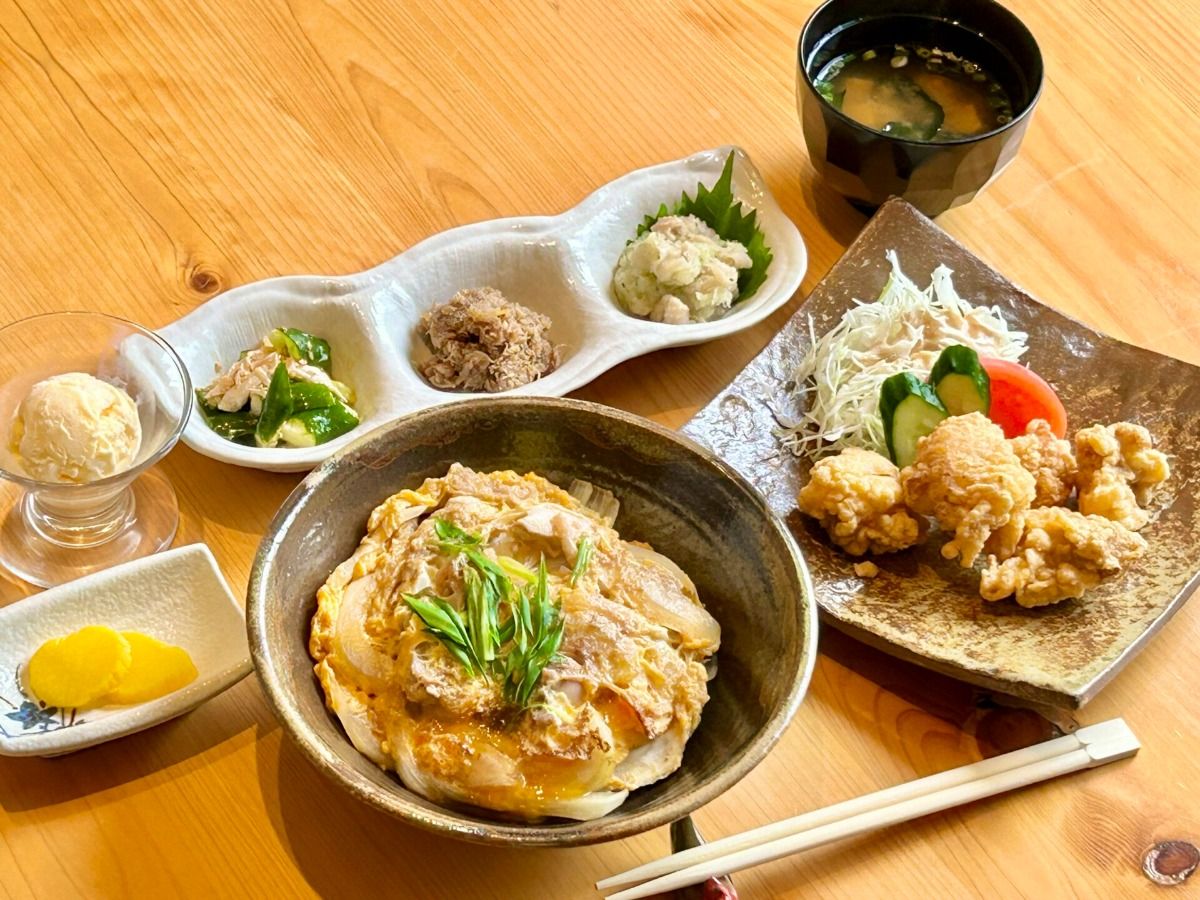 【お昼】出汁で味わう土佐ジロー親子丼定食|1時間・2名様から - 2