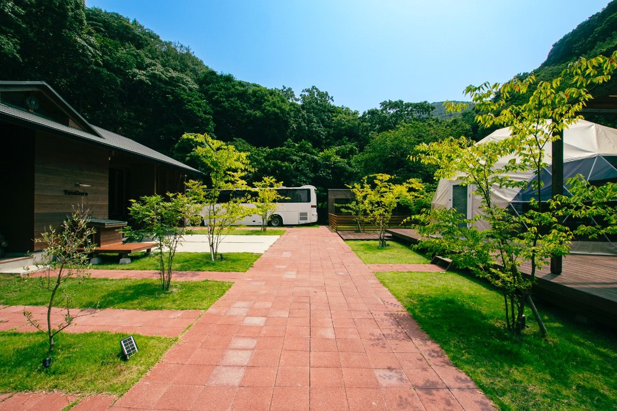Yura Green - 8