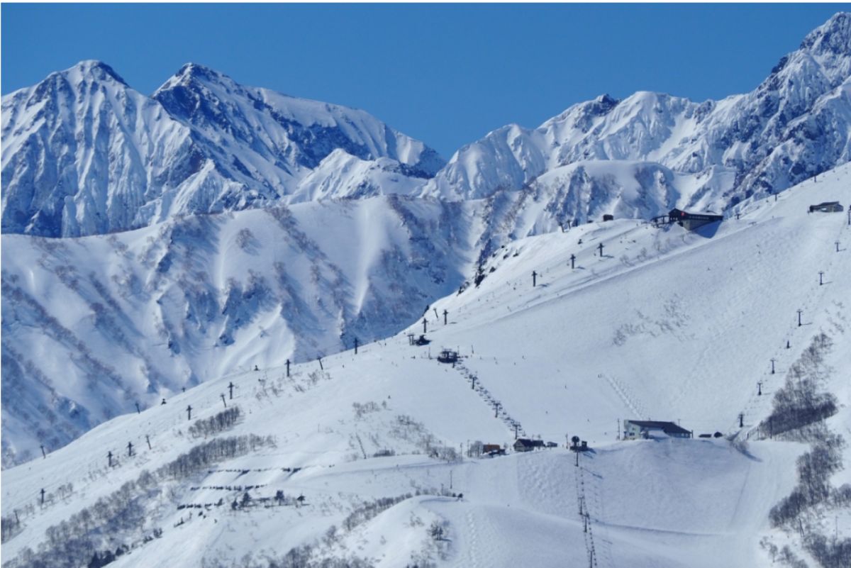 Powder Stay | Natural Onsen & Complimentary Breakfast 