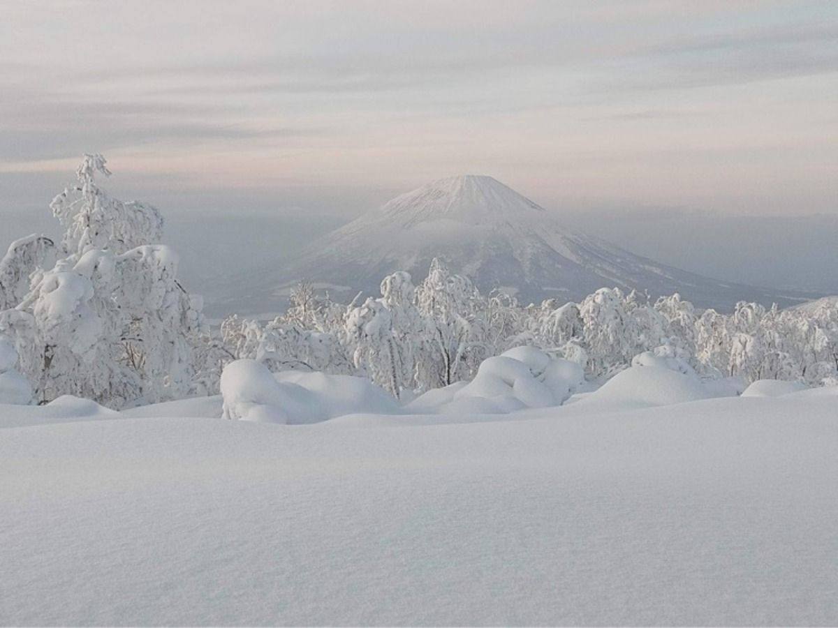 Rusutsu Ski Stay111 - 2