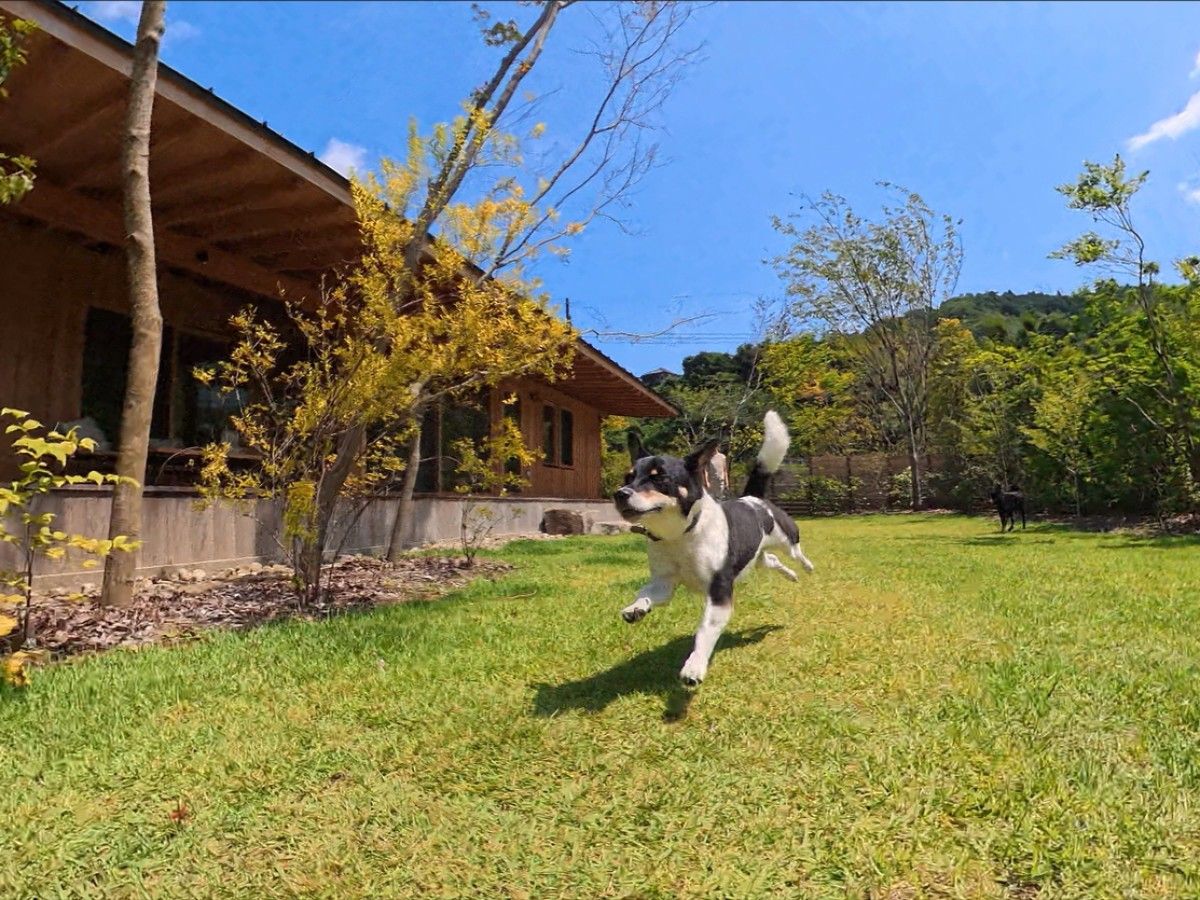 holohouse - 2