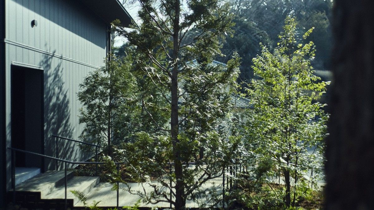 Hiire IZU OMURO - 4