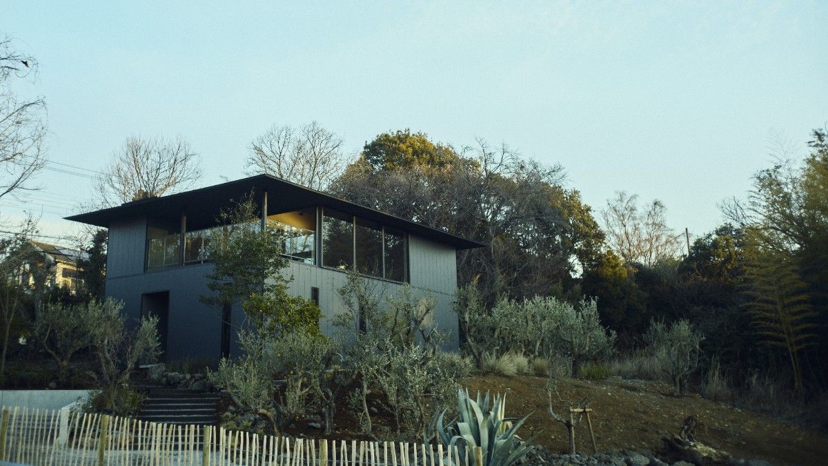 Hiire IZU OLIVE
