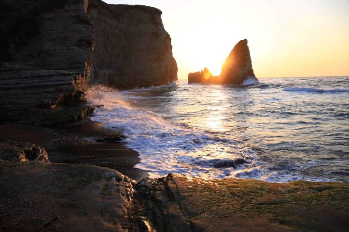 大波月 Ohazuki (L) | Ocean View - 4