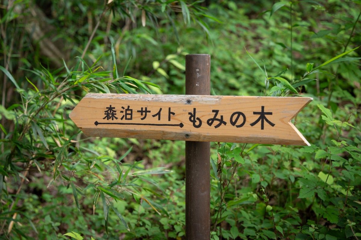 キャンプサイト　もみの木 - 2