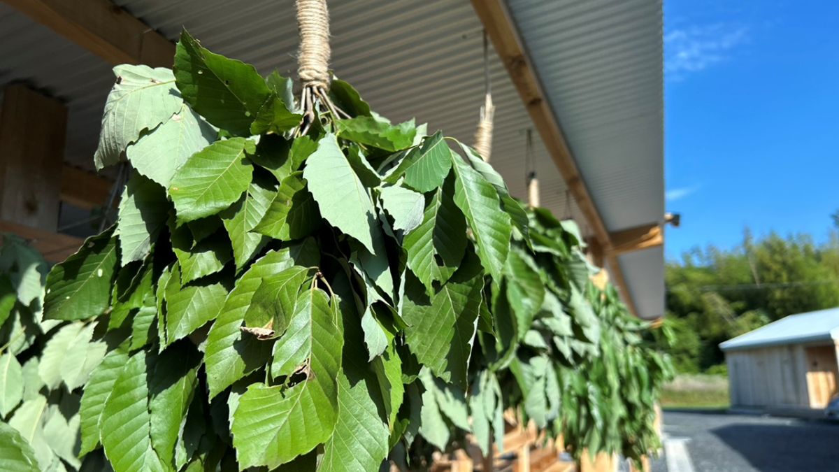 渓谷を望む薪サウナ・薪焚き露天風呂を楽しむ（1泊２食付） - 7