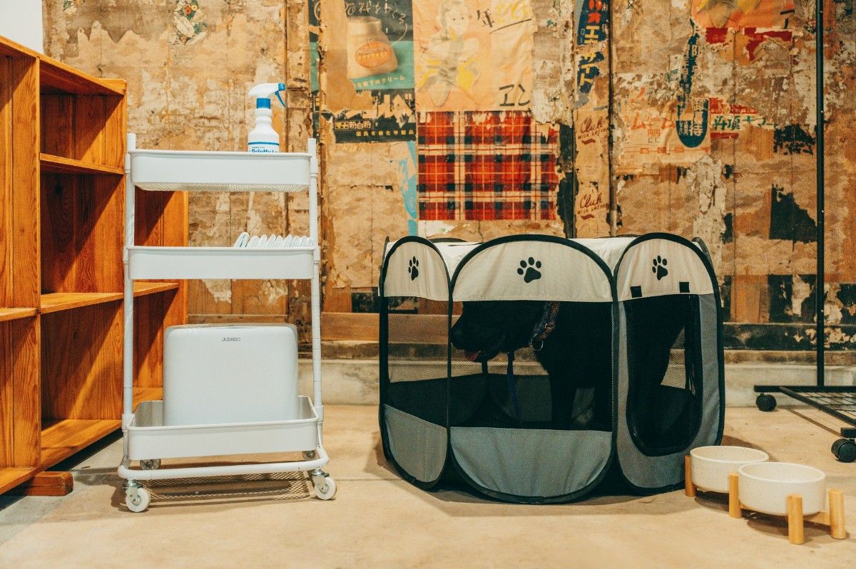 KOMINKA STAY Ouda, Nara | Dogs & Sauna - 17