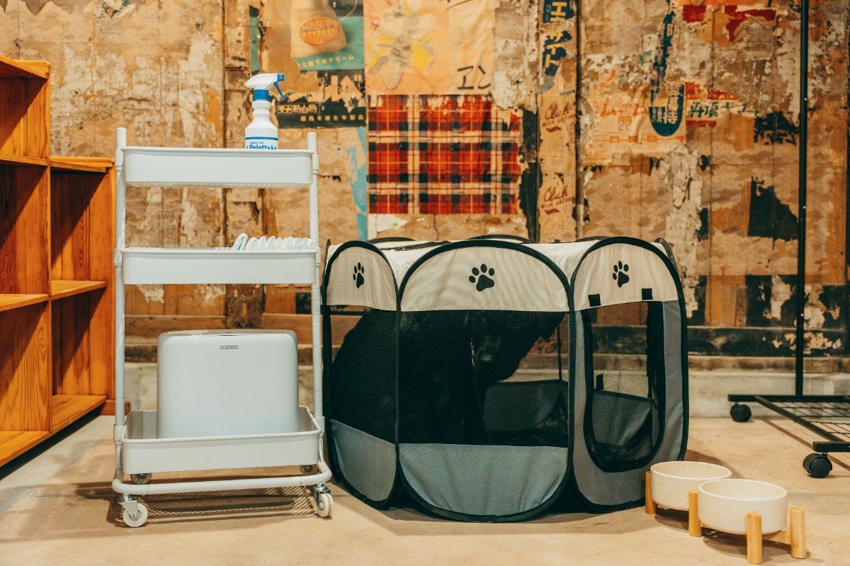 Pet-Friendly Traditional Japanese House, All to Yourselves — With Private Sauna & Cold Plunge - 5