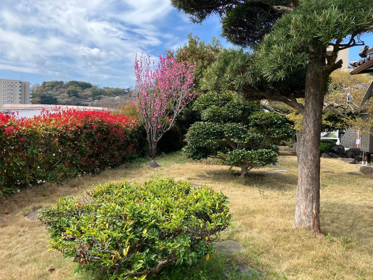 Guest House-景- - 10