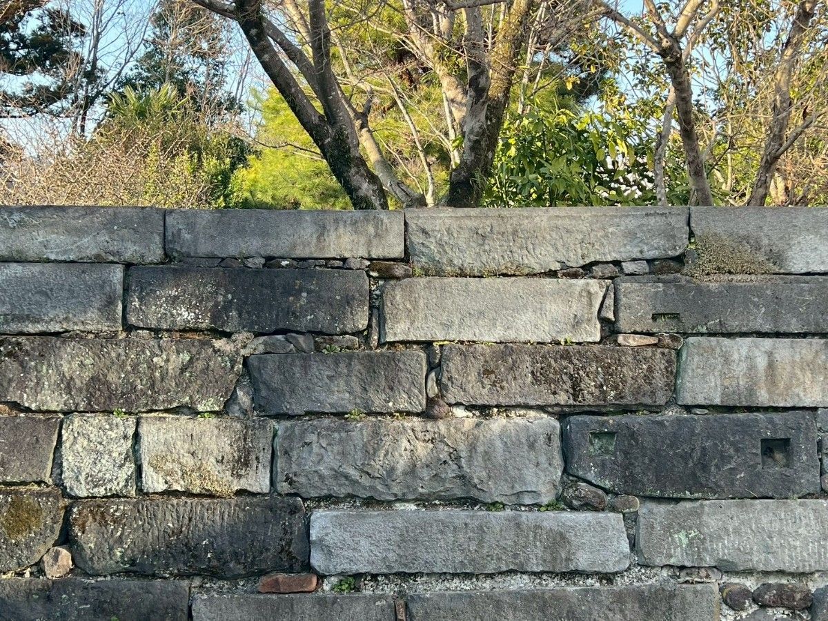 KADOYA - 7