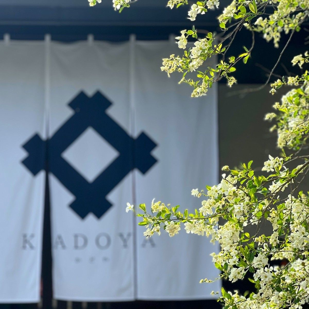 KADOYA