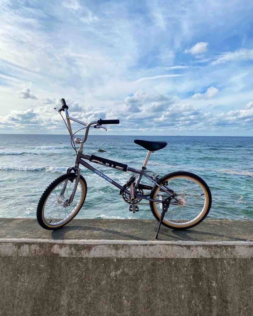 Bicycle Rentals / レンタサイクル