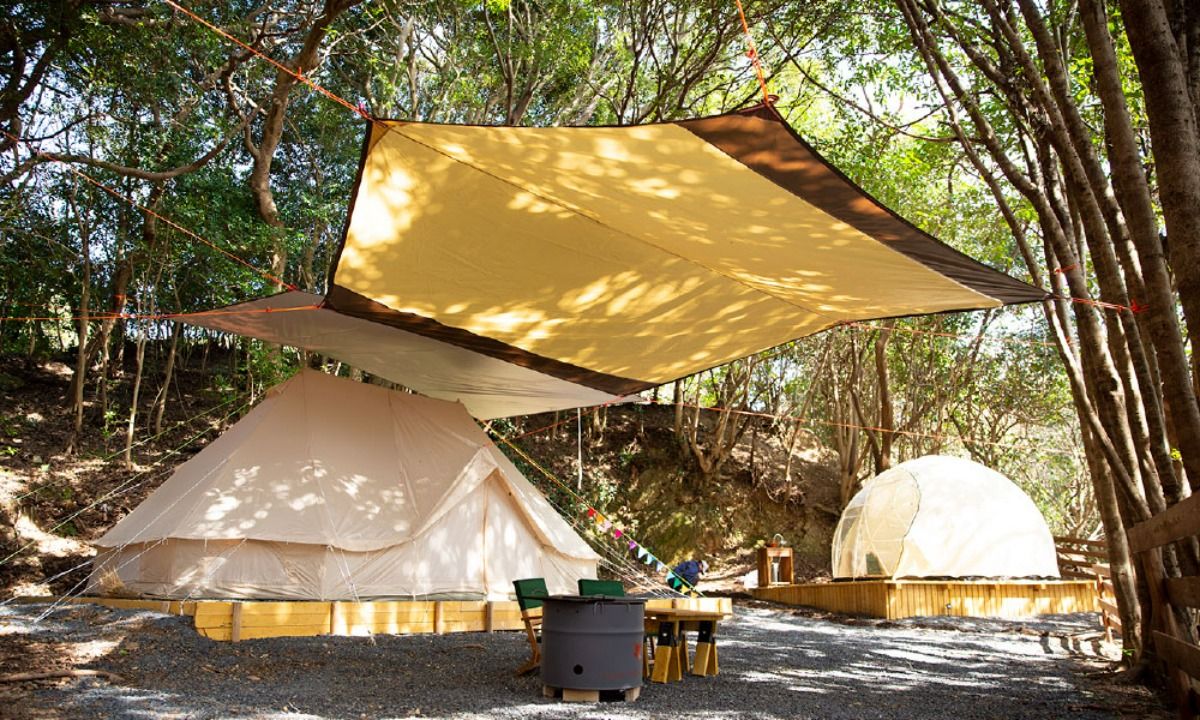 TASO FOREST CAMP