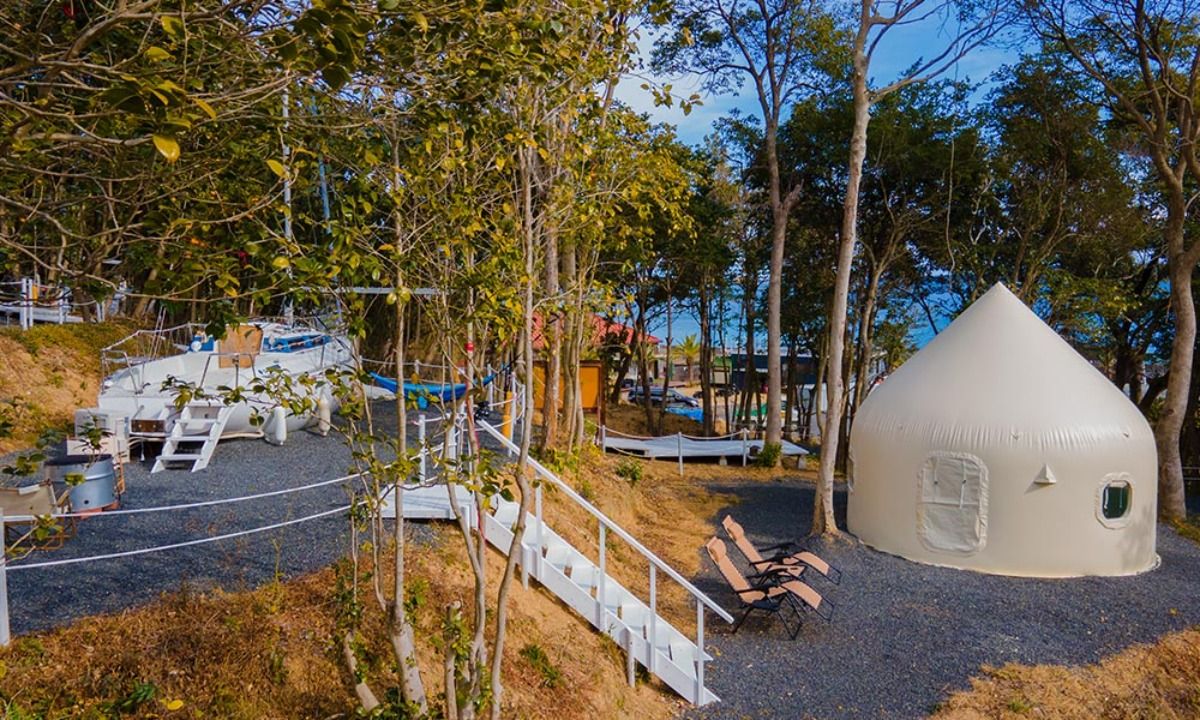 TASO FOREST MARINA