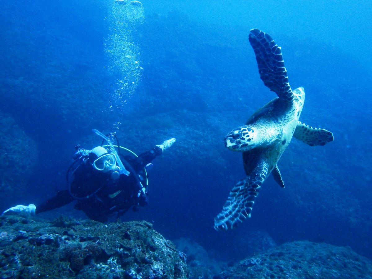 DIVING
