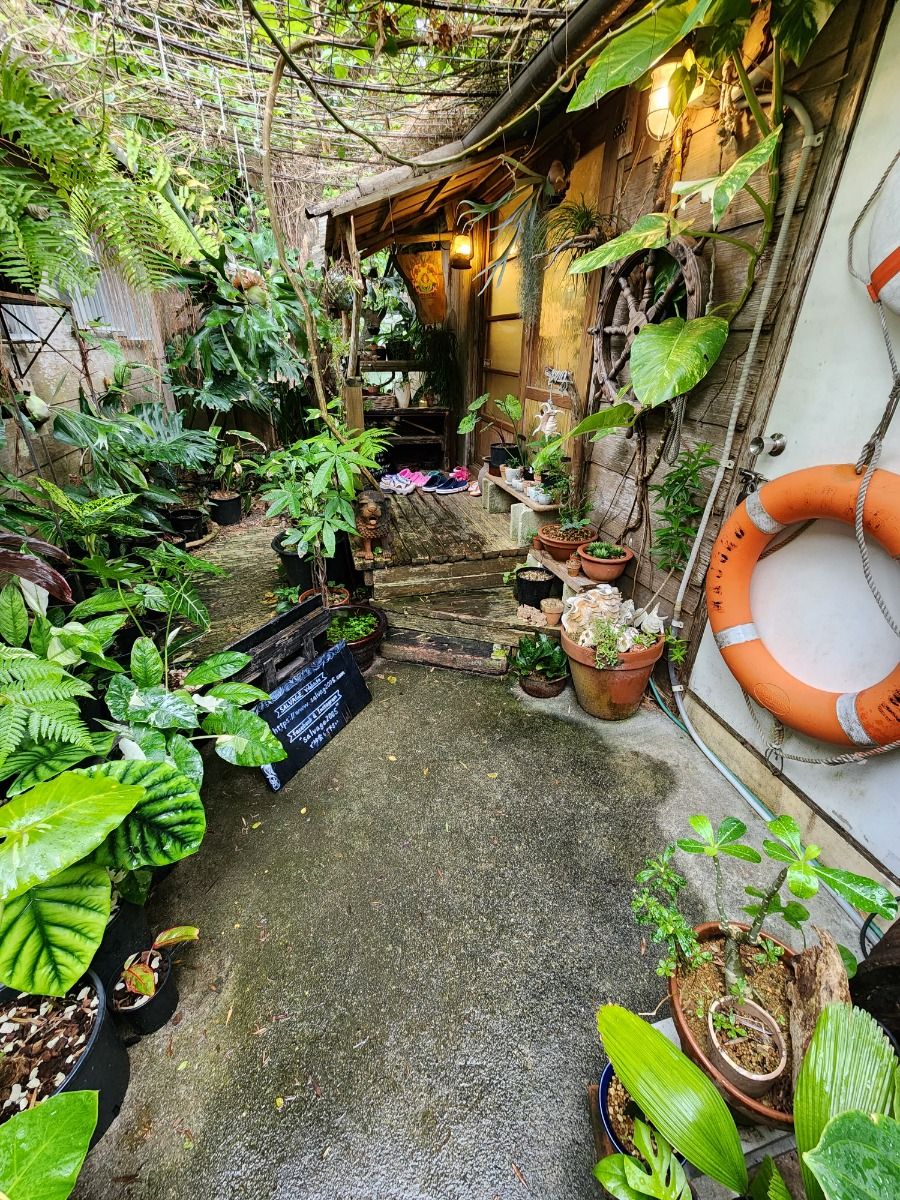 素敵なお店のご紹介