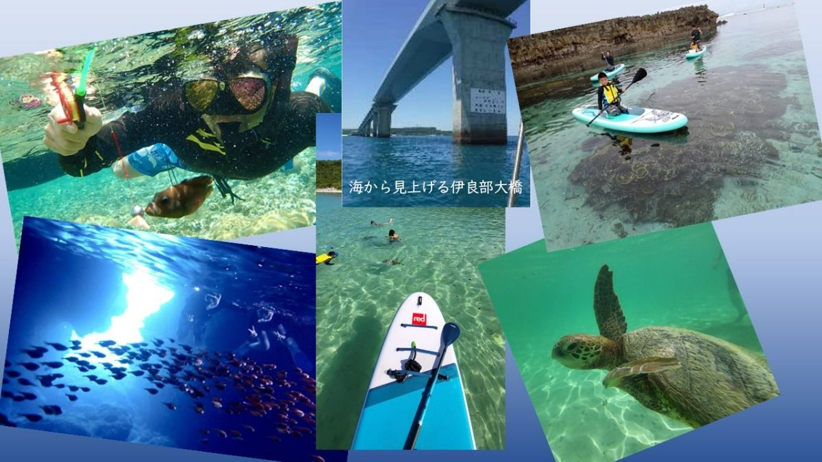 胸躍る非日常の体験！宮古島を楽しむオプション