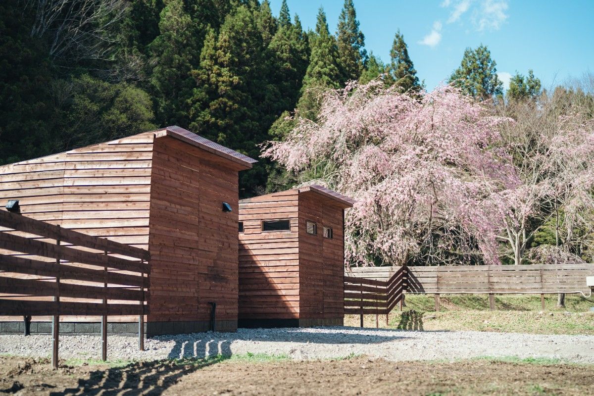TERA RESOLA NIKKO KAI