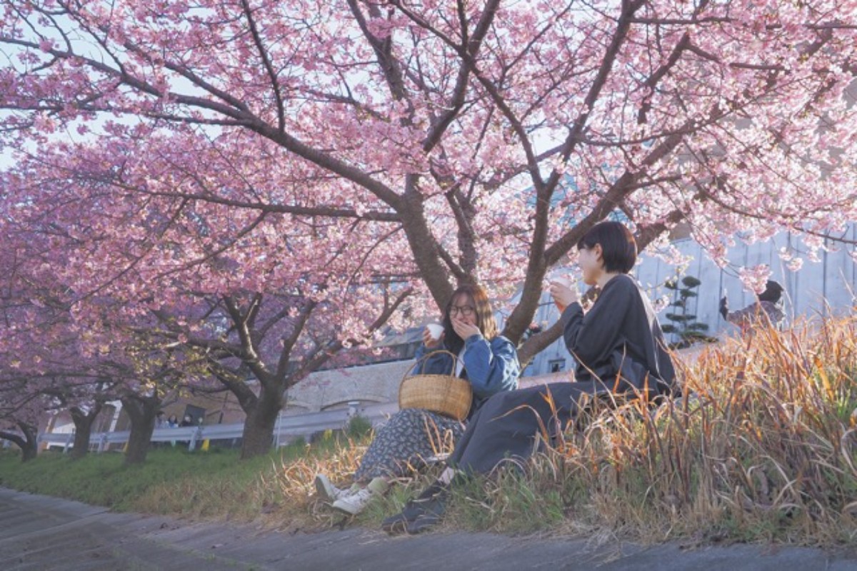 Okazaki Micro Hotel ANGLE（アングル）