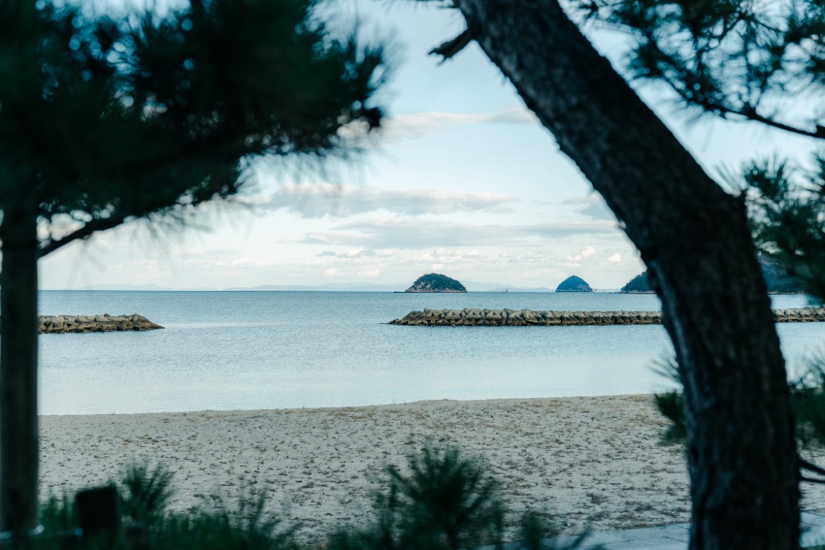 うみの図書館 (泊まれる図書館) - 23