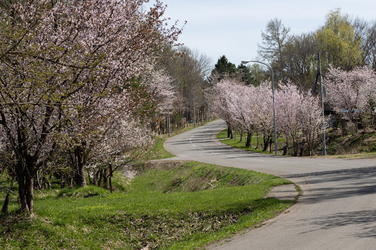 桜岡リトリートロッジ Norheim