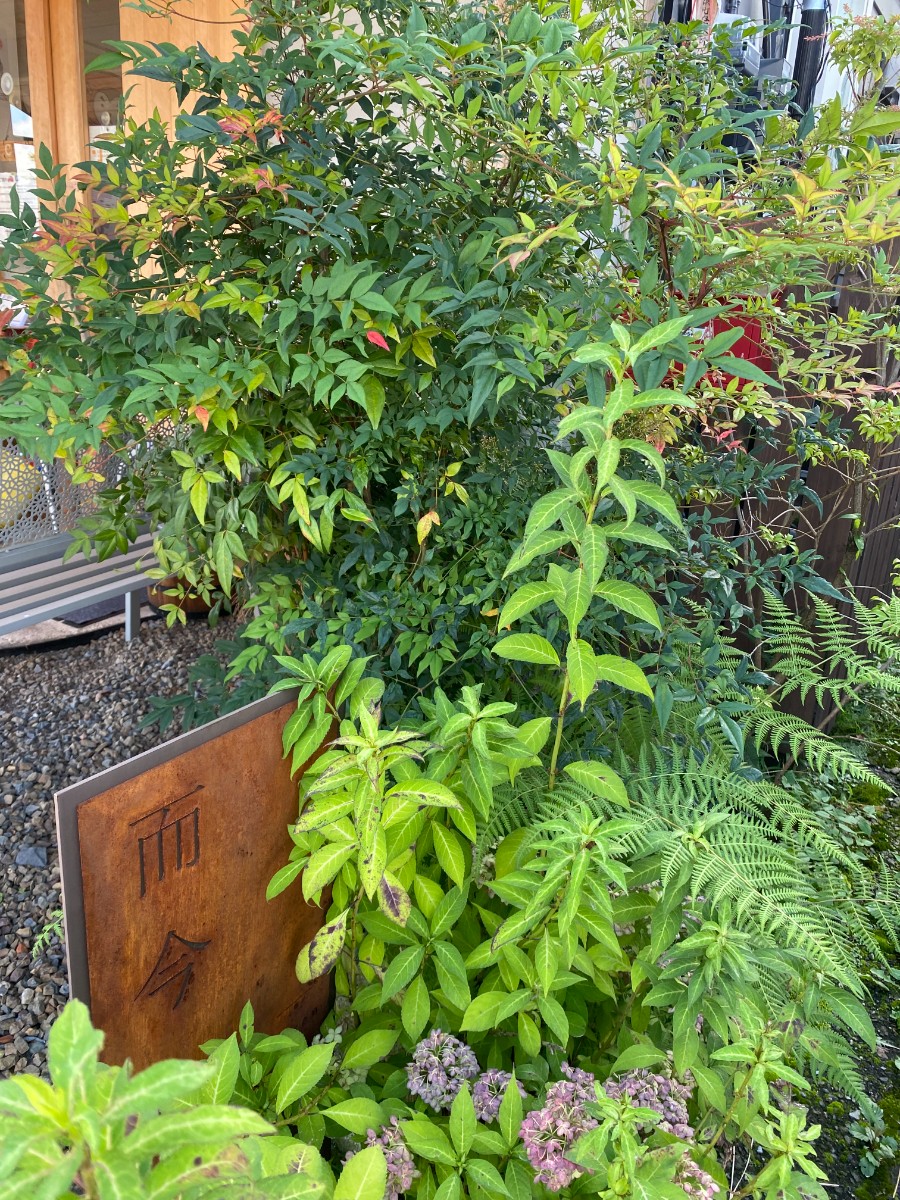 初秋の日光旅～1棟貸～平日（9/1〜9/30）素泊まり