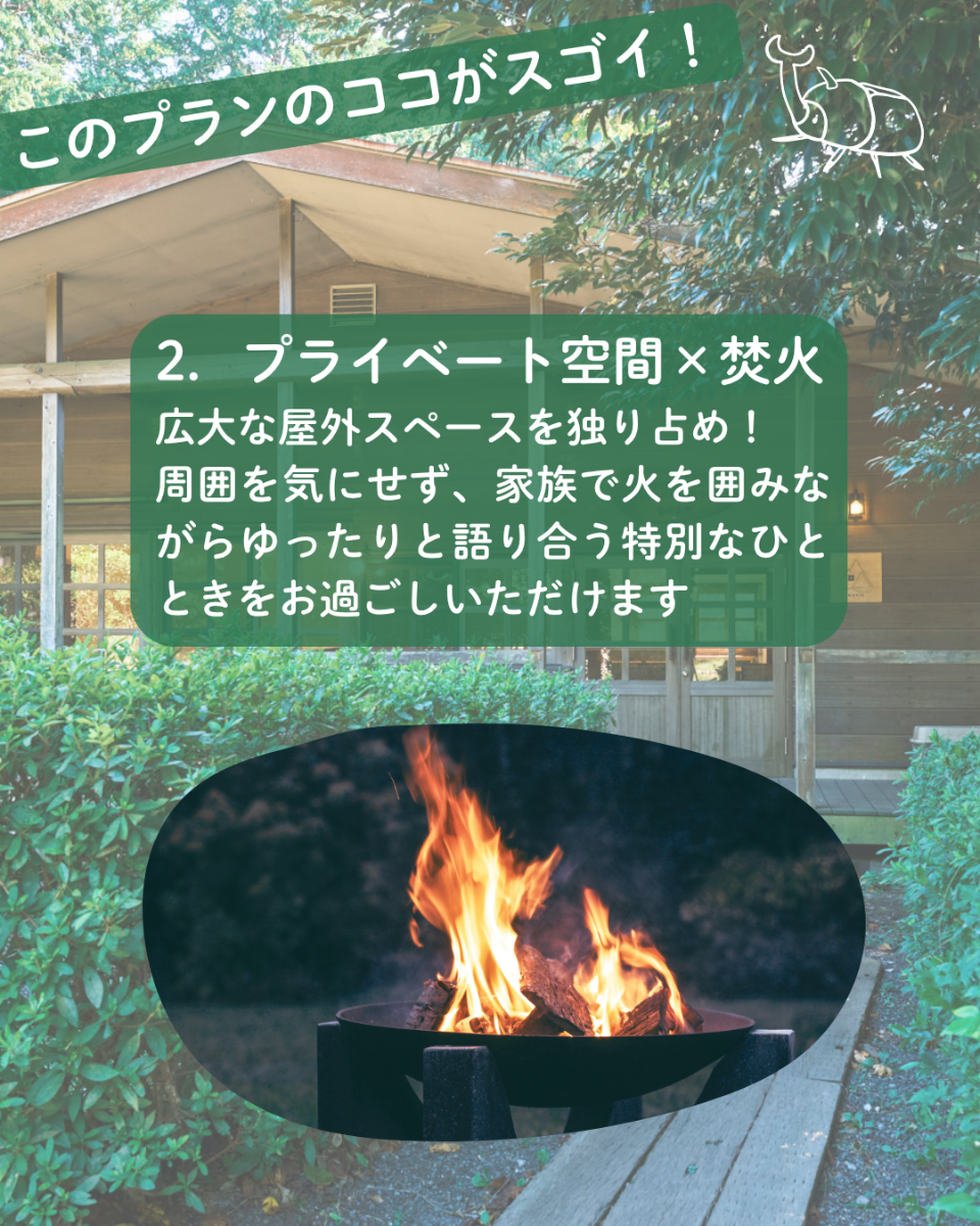伊豆稲取「山に触れる」夏プラン - 3