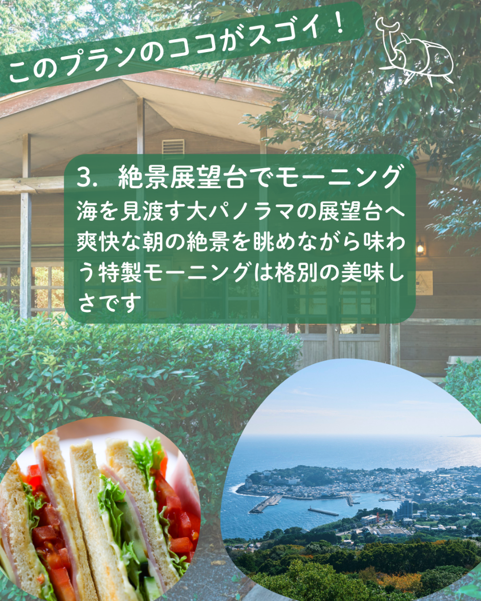伊豆稲取「山に触れる」夏プラン - 4