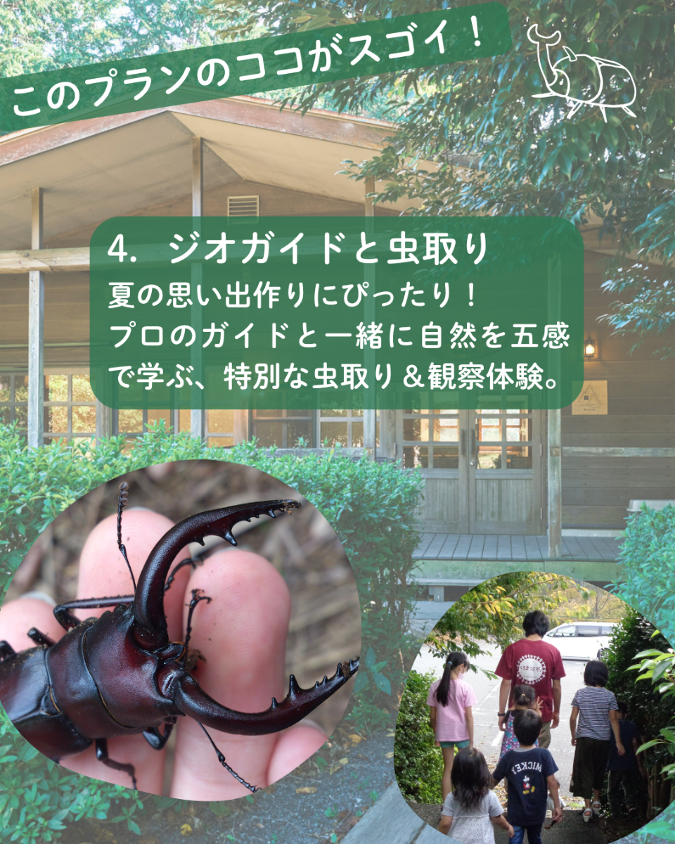 伊豆稲取「山に触れる」夏プラン - 5