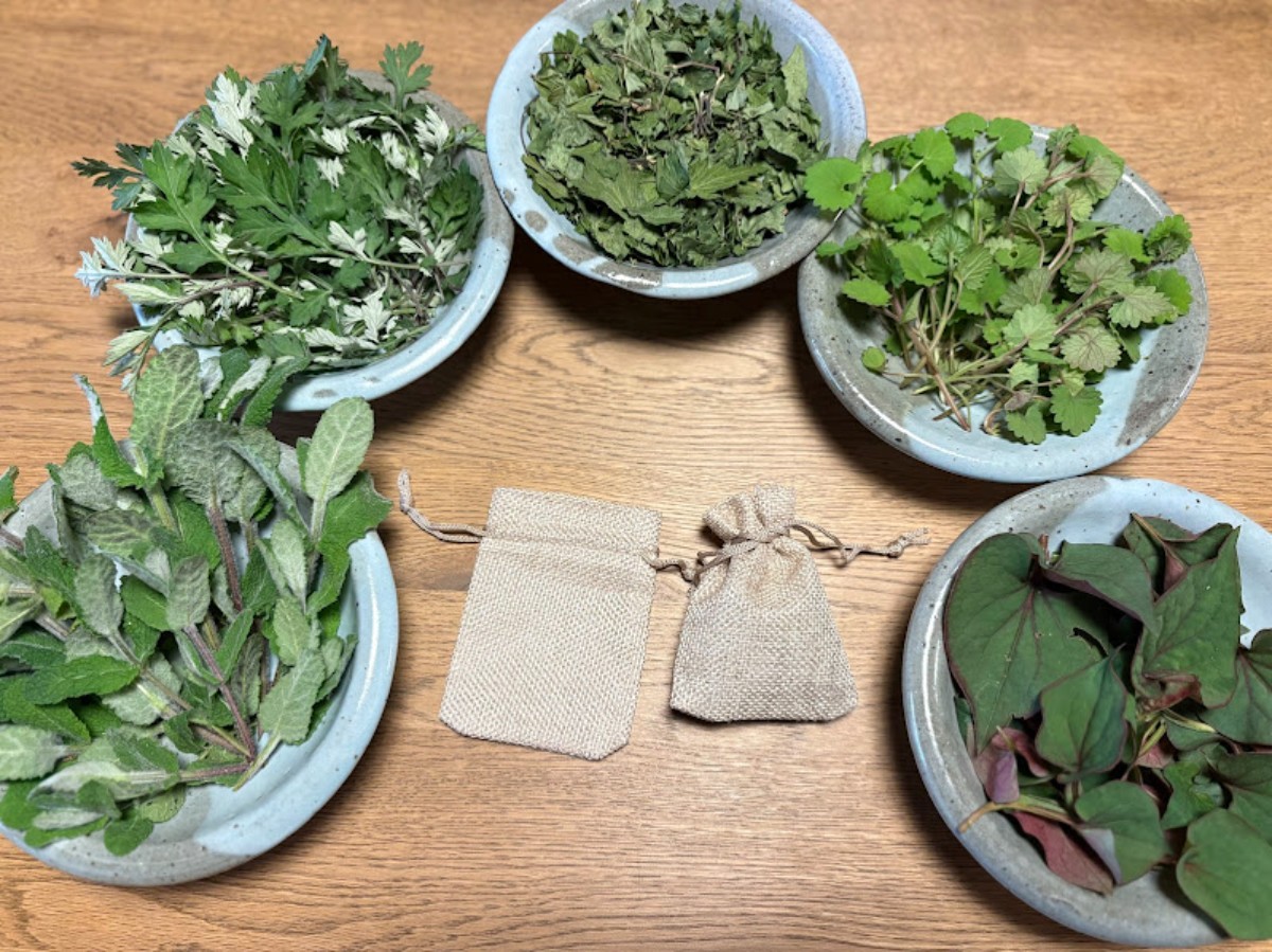 【４周年記念】古民家で過ごす初夏の薬草時間　特典付きプラン