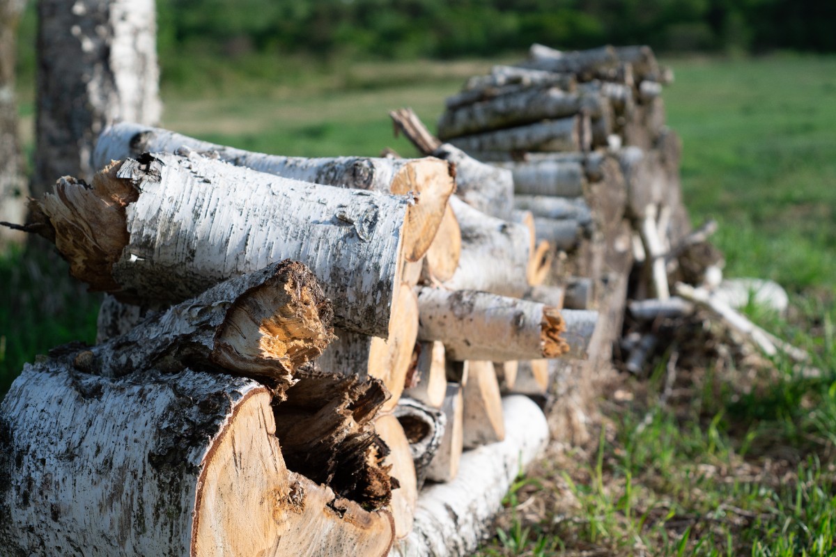 星降る山荘　七時雨山荘 - 2