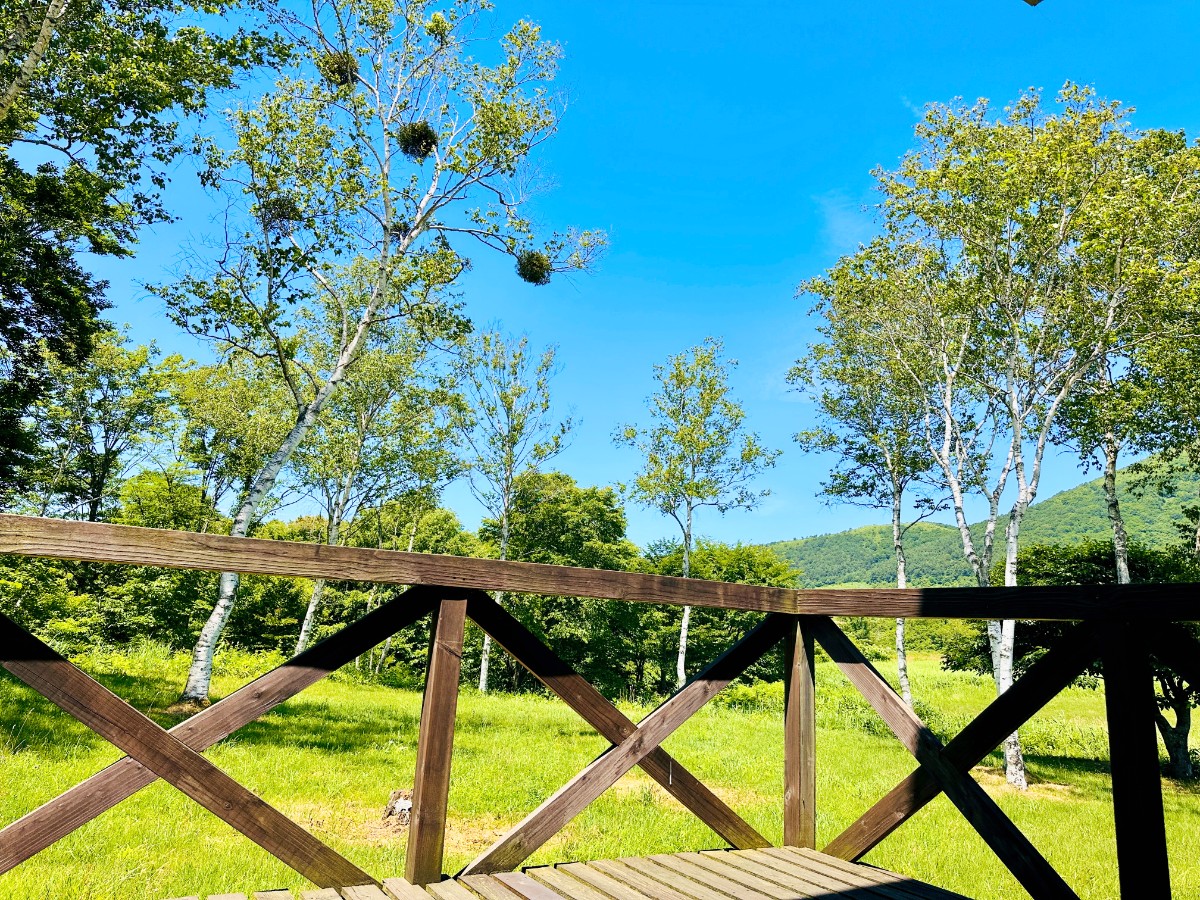 白樺と山を望む【角部屋和室】広いウッドデッキ付き・トイレなし - 2