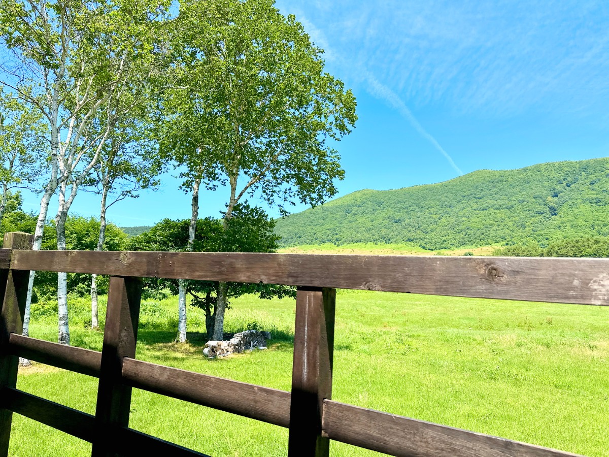 高原を望む【和室ラージ】ウッドデッキ付き・トイレなし - 2