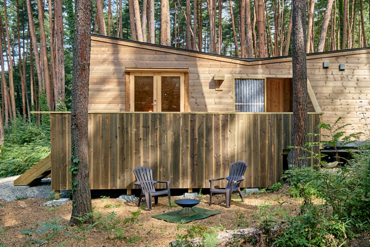 CEDAR（シダー） - 3
