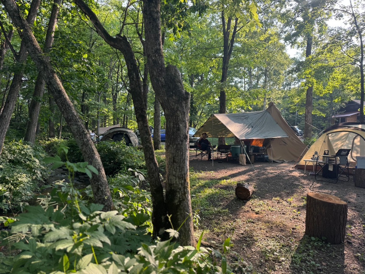 【4/28までのご予約はこちら】テント&バンガロー泊 - 2