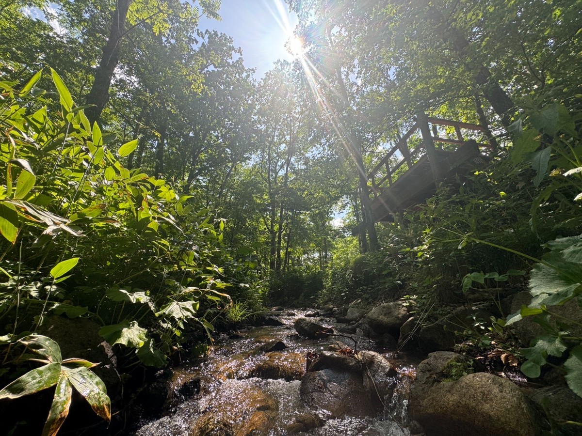 【4/28までのご予約はこちら】テント&バンガロー泊 - 5