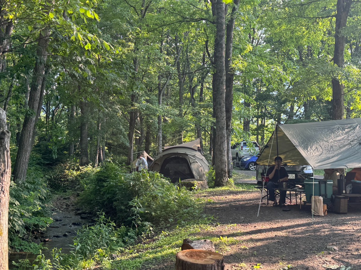 デイキャンプ（日帰り） - 2