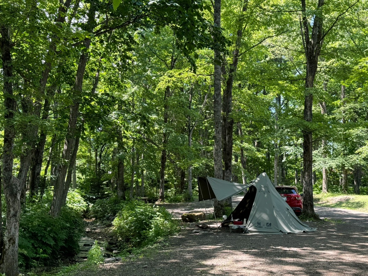 デイキャンプ（日帰り） - 4