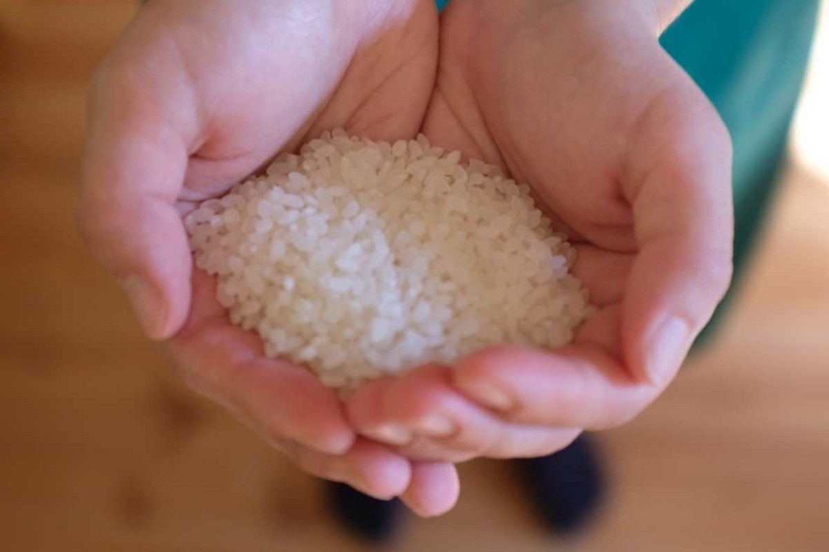 【秋限定】きのこ鍋と新米コシヒカリを楽しむ 1泊2食 - 6