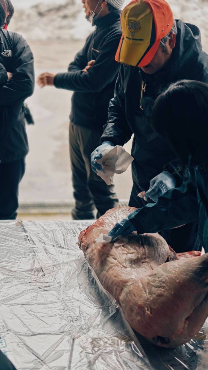 【4/18限定】地元猟師とイノシシを解体して食べる １泊２日 - 2