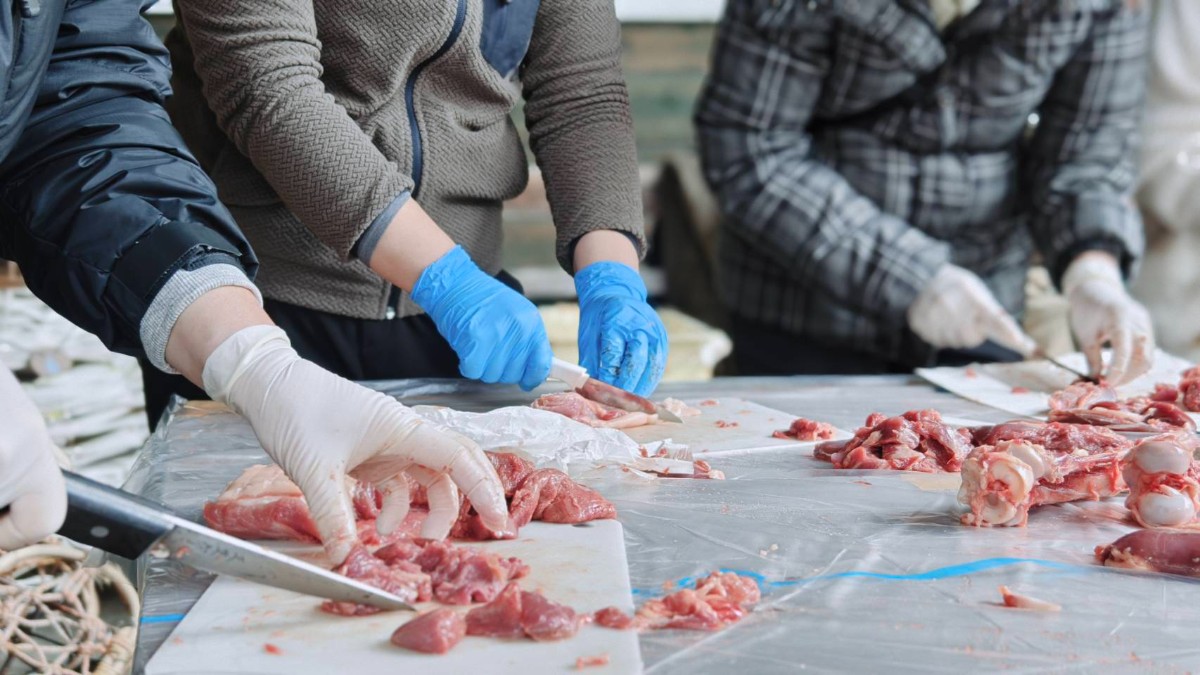 【4/18限定】地元猟師とイノシシを解体して食べる １泊２日 - 3