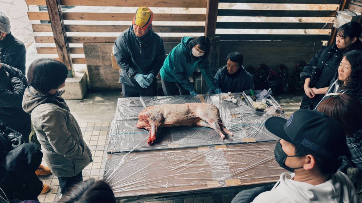 【4/18限定】地元猟師とイノシシを解体して食べる １泊２日 - 4