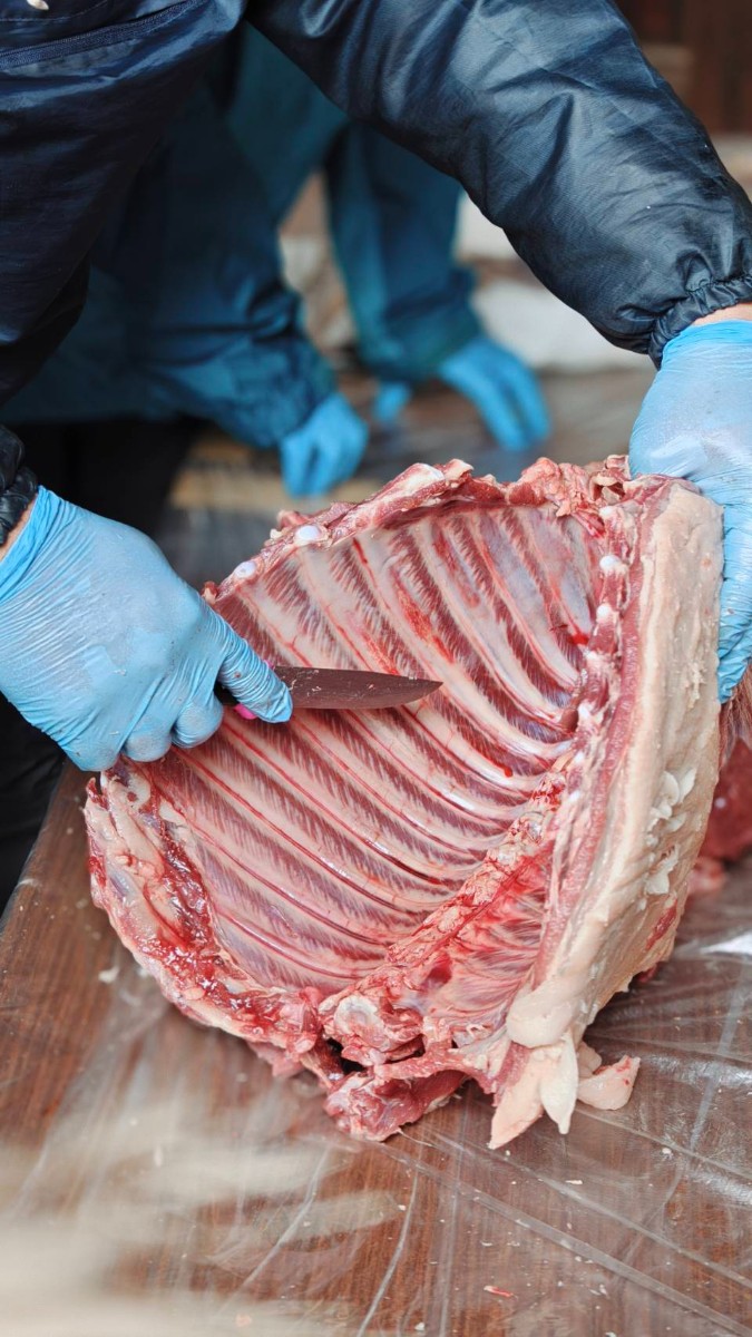 【4/18限定】地元猟師とイノシシを解体して食べる １泊２日 - 5