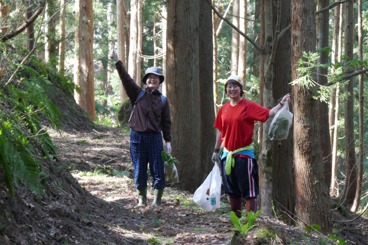 【5/23限定】山菜名人と山菜を収穫して食べる 1泊2日 - 4