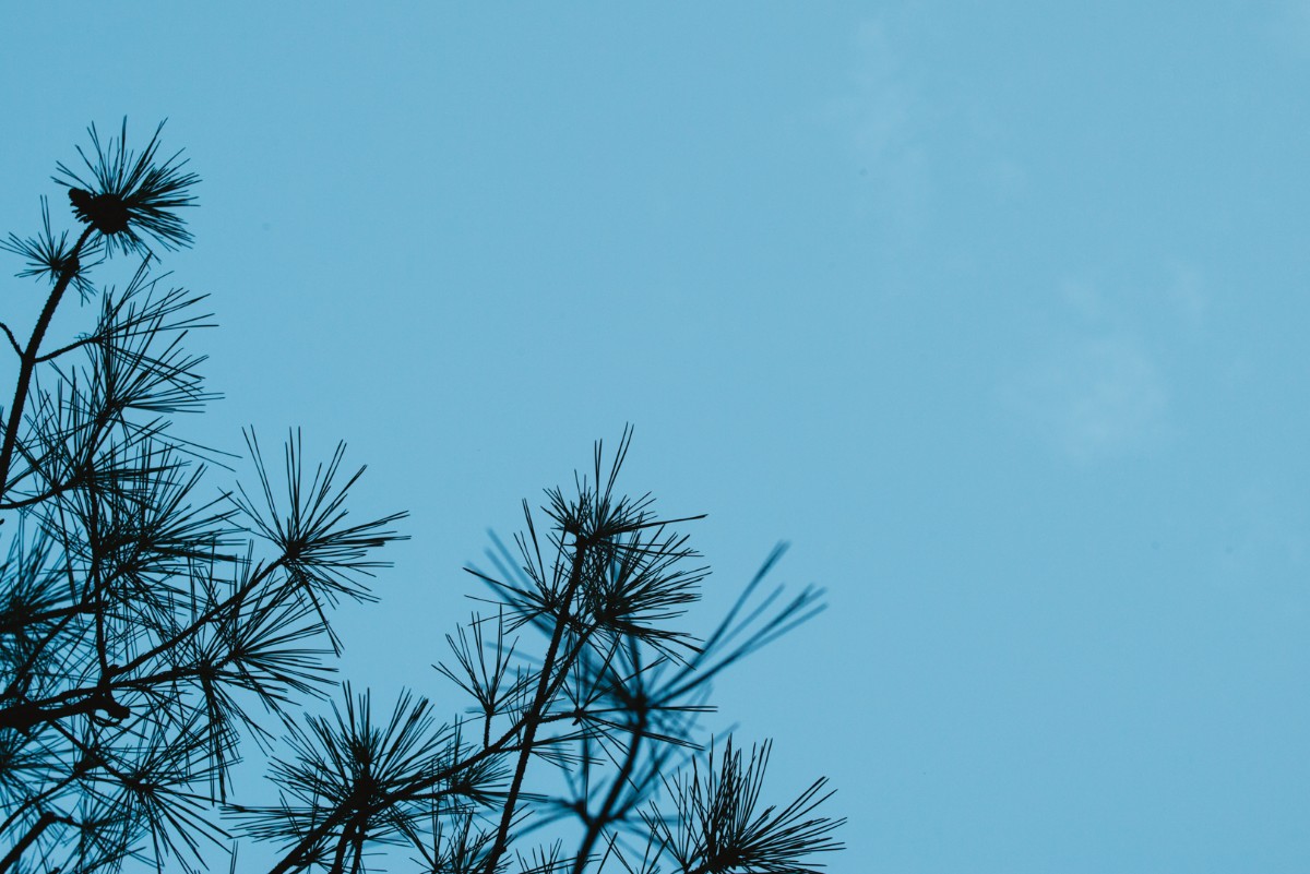 〈1月～3月〉宿泊プラン  - 6