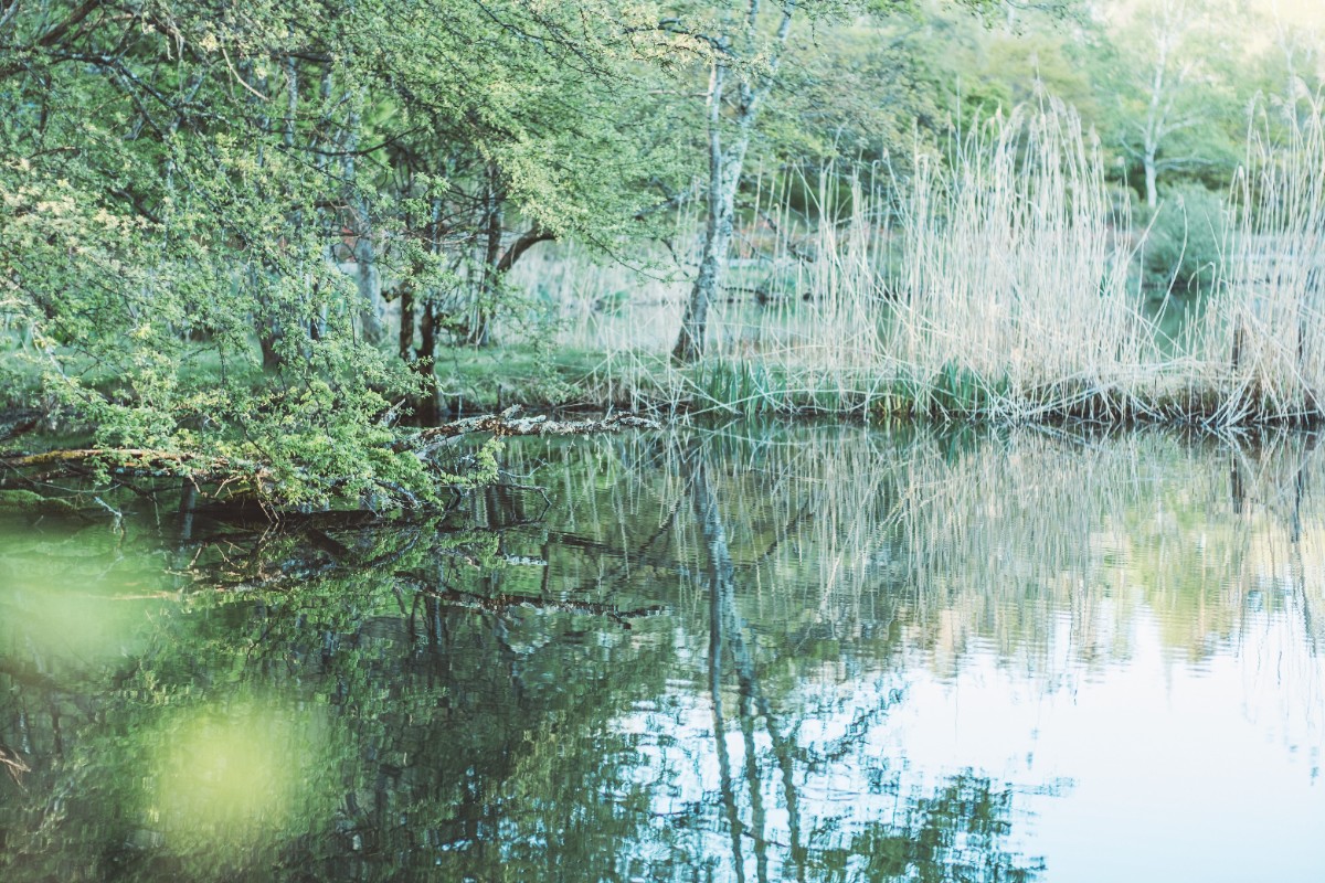 蓼科BASE kitchen, spa&hotel - 2