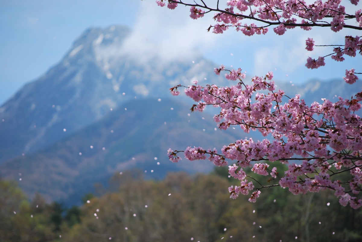 【お食事なし】蓼科観光を楽しみたい方におすすめの基本プラン - 9